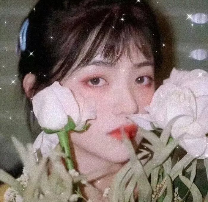 幸运有八只触手海报