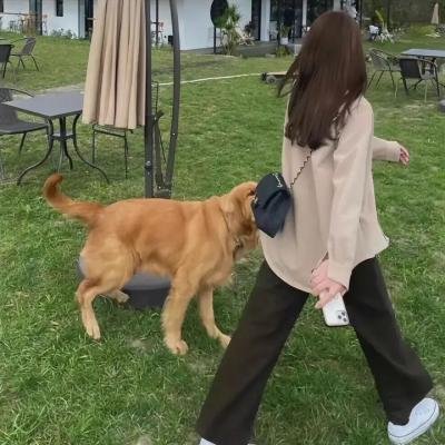 幸运有八只触手海报